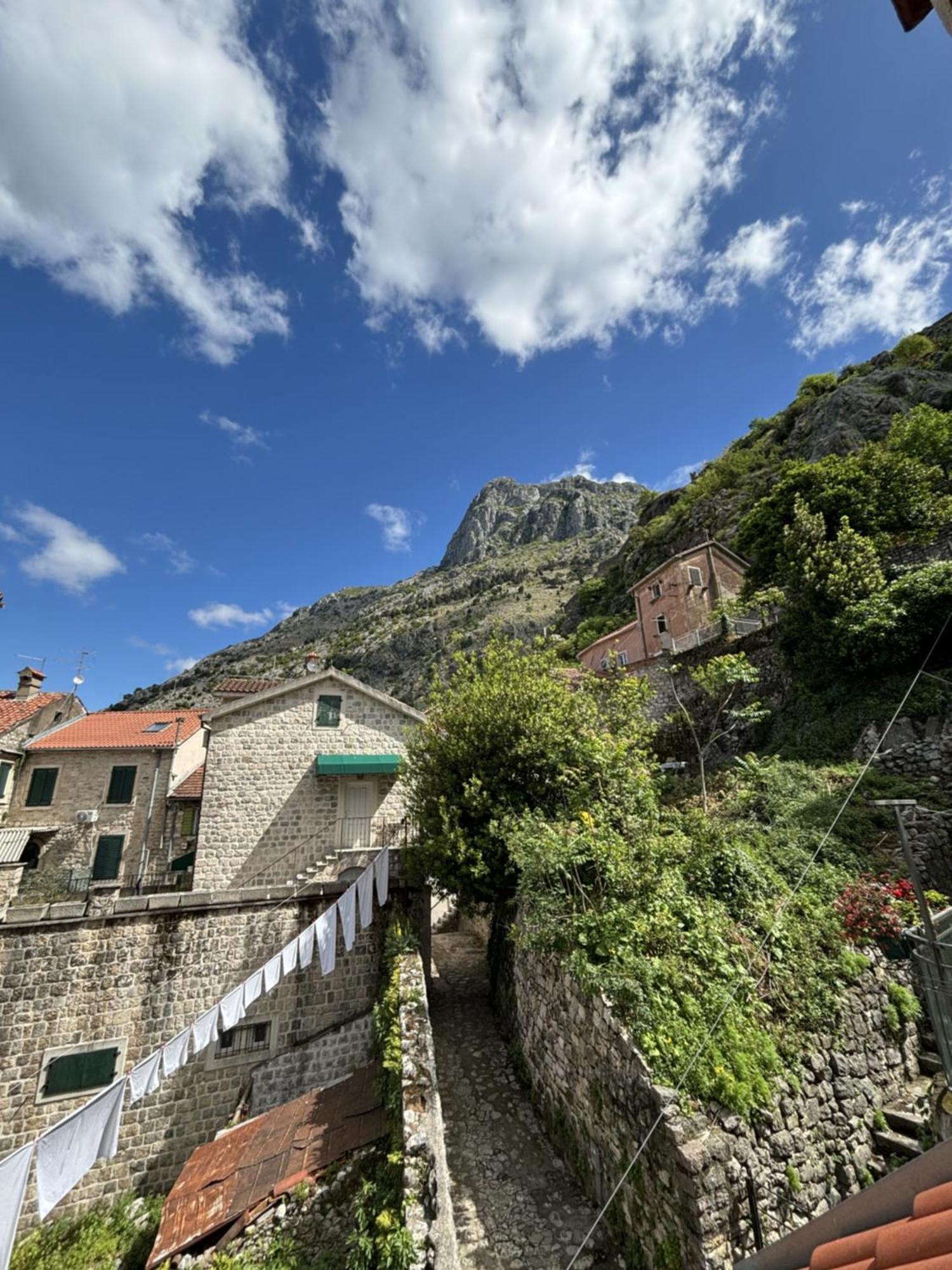 Kazin Supreme Hotel Kotor Værelse billede
